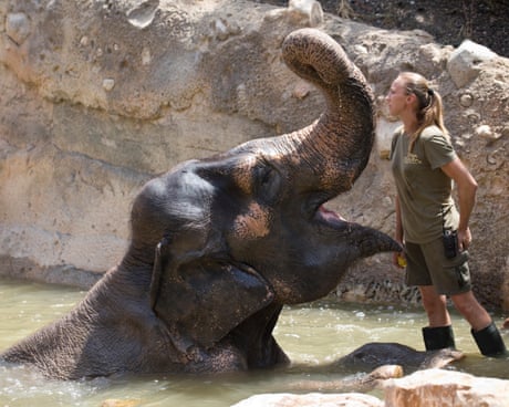 Are you a woman dreaming of a career change? Here's my advice | Emma Beddington