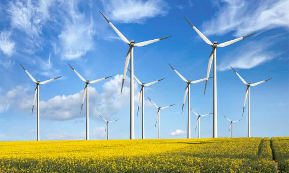 Wind turbines in a field of rapeseed