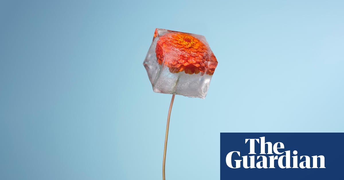 Sali Hughes on beauty: the best perfumes for winter