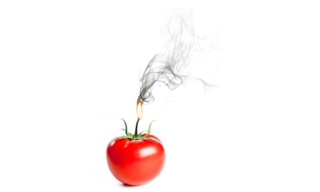 Fresh tomato, on white background with smoke coming out of stem