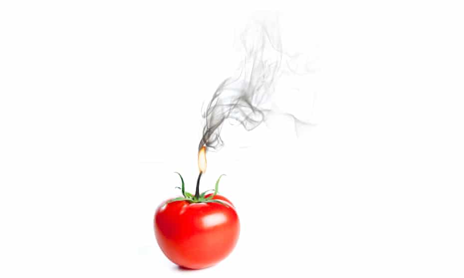 Fresh tomato, on white background with smoke coming out of stem