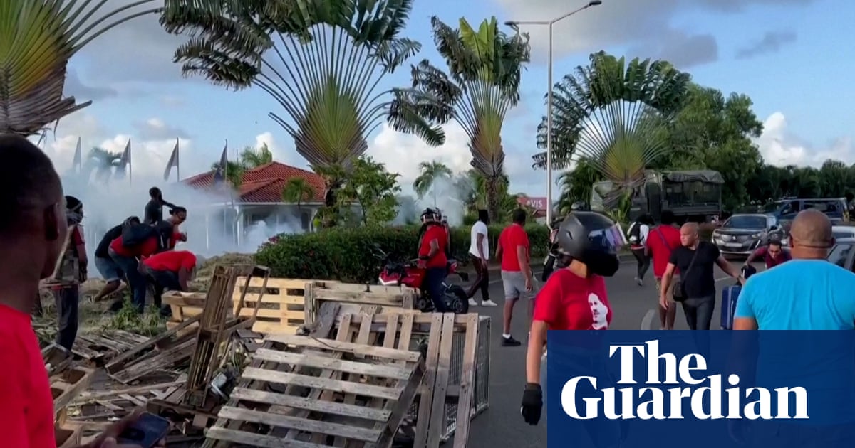 Protesters clash with police in Martinique in latest unrest on French island – video