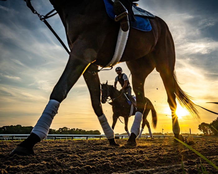 My friend Pancho’s long life is a gift. Most racehorses never get that chance | Elizabeth Banicki