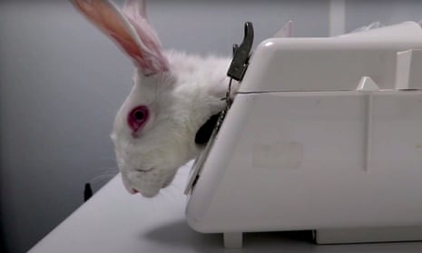 Undercover footage shows 'gratuitous cruelty' at Spanish animal testing  facility | Animal experimentation | The Guardian
