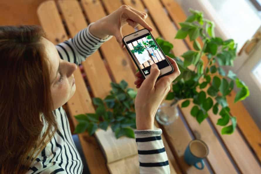 ‘A freebie is enough’: influencer gift posts trigger breaches in Australian ad standards Stock image of a woman taking a photograph of a book beside plants and a cup of coffee.