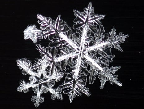 Snowflakes cling to a car window in Alaska. esearch shows that the shape of each flake determines how it falls.