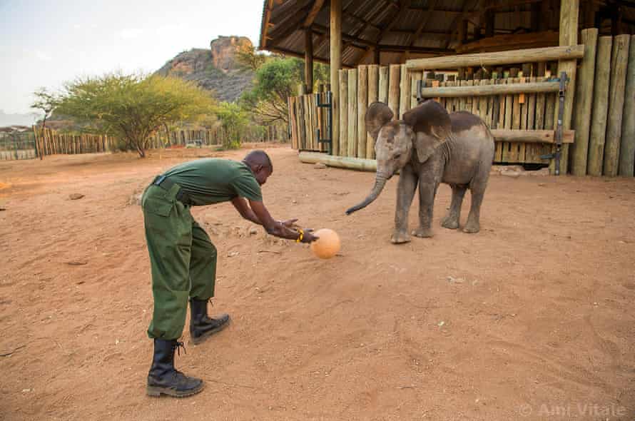 Reteti Elephant Sanctuary