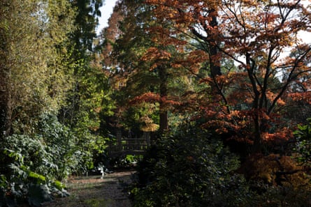 Autumn foliage and botanic garden and ornamental bridge and pond
