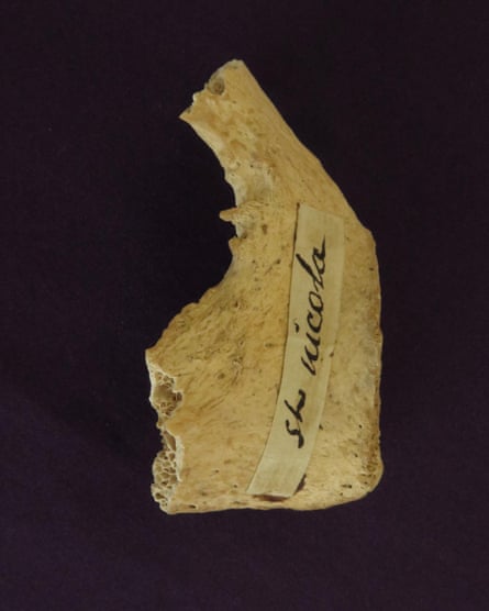 Fragment of a bone believed to be that of St Nicholas