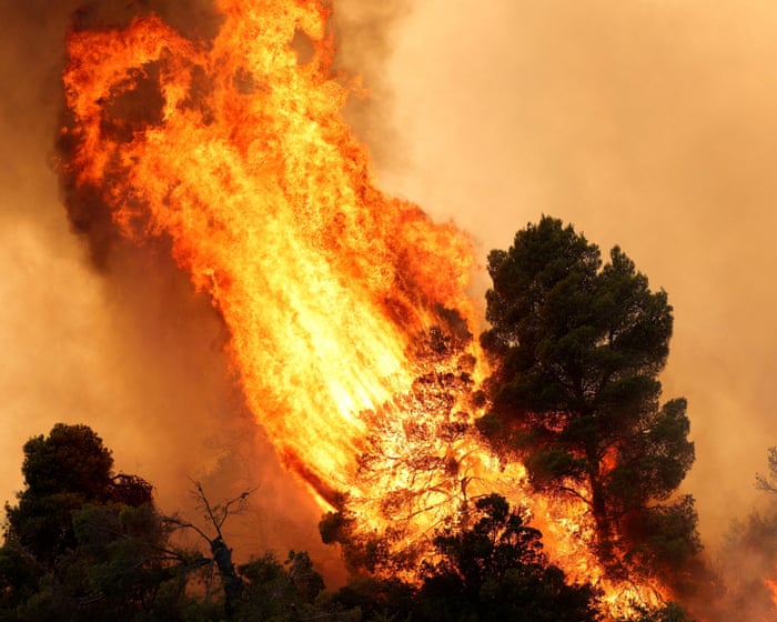 Greece's Wildfires: A Fiery Wake-Up Call for Climate Accountability