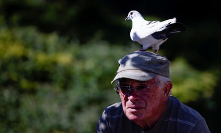 Xavier Bouget rides his bicycle with a pigeon called “Blanchon”on his head.