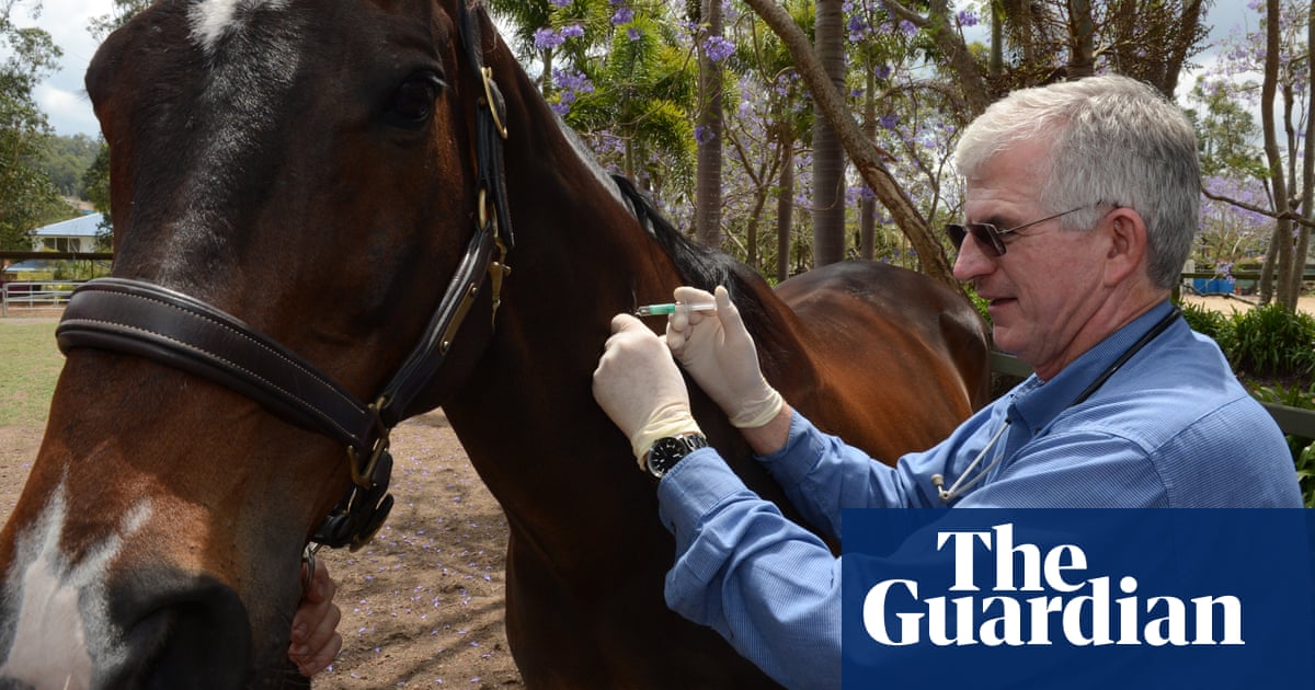 Horse euthanised after first Hendra virus case in five years reported in Queensland