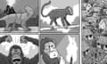 David Squires on … 4.54 billions years of evolution leading to this