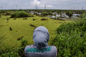 A Greenpeace investi gator documents peatland in IOIâs oil palm concession in West Kalimantan, Indonesia. This area of the concession suffered extensive fires in 2015.