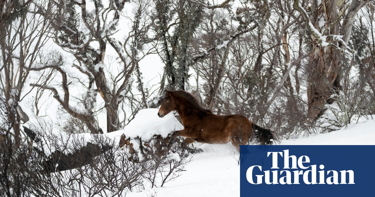Real-life Man From Snowy River was Aboriginal, new book argues