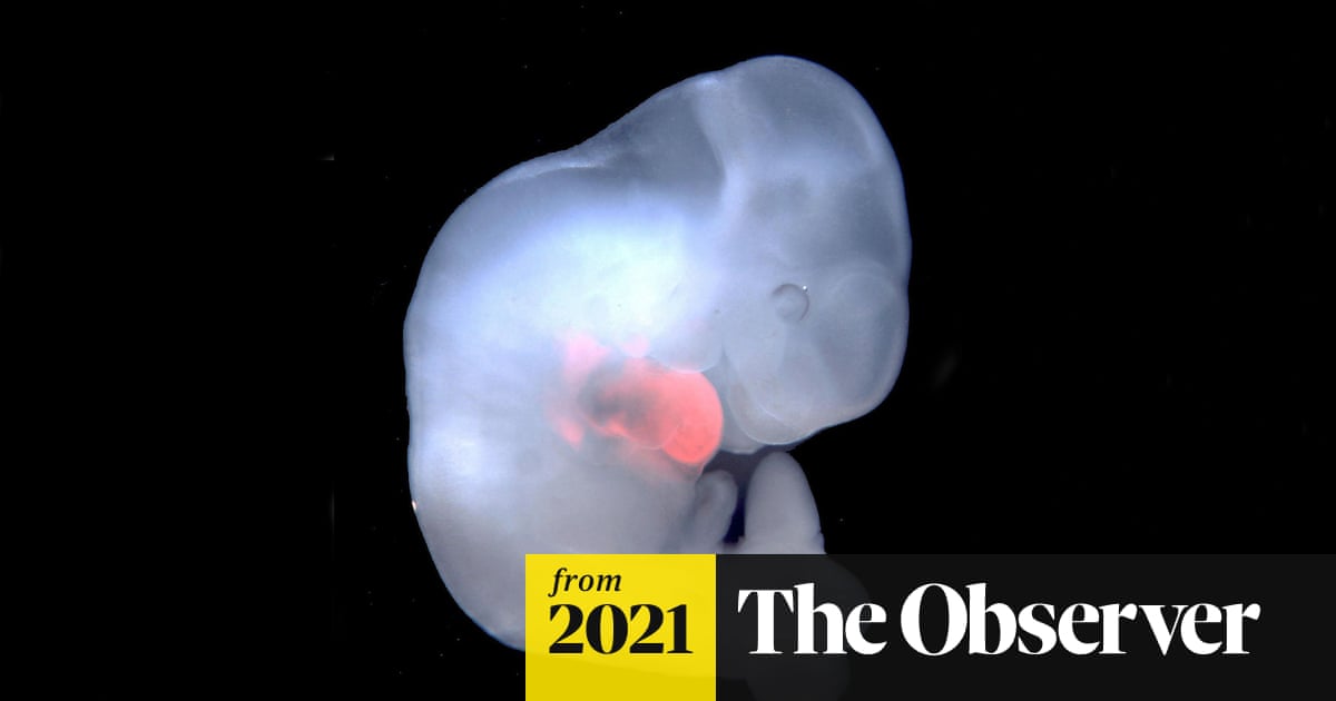 www.theguardian.com