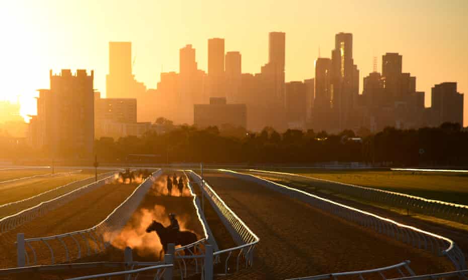 Horses steam up after galloping during a morning trackwork session at Flemington Racecourse ahead of the four-day Melbourne Cup carnival. 