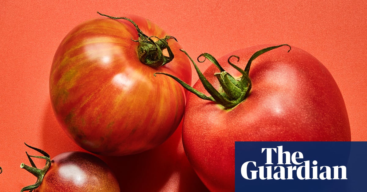 Summer picks: what to plant, harvest and eat right now