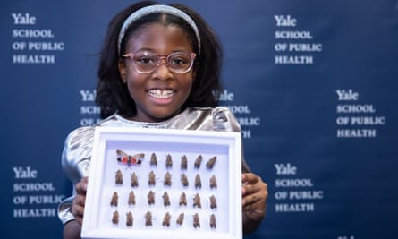 Bobbi Wilson bestowed her personal collection of lanternflies to Yale’s Peabody Museum, which entered the collection into its database and listed the child as the donating scientist.