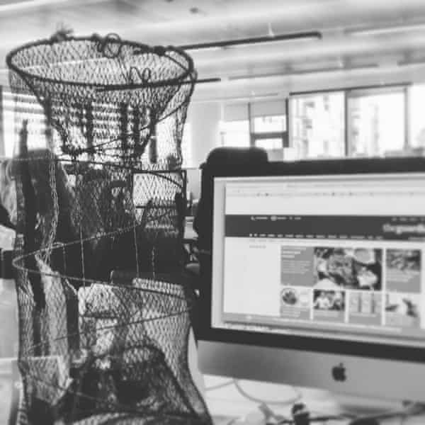 A lobster creel on Susan Smillie’s desk