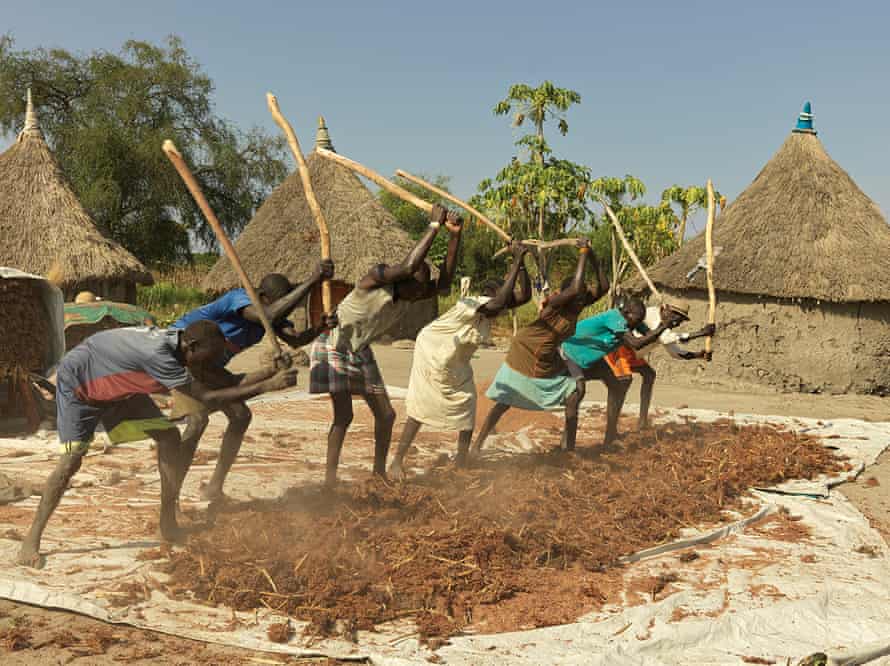 The people of Paur village beat sorghum