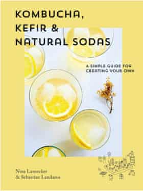Kombucha, Kefir and Natural Sodas cover