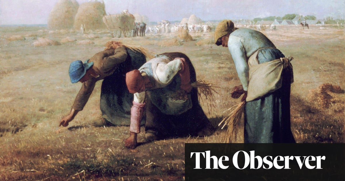 Why the ancient art of gleaning is making a comeback across England