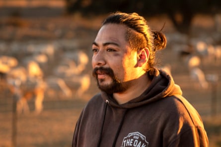 A young Latino man wearing a brown hooded sweatshirt, with thick dark hair shaved on the sides and pulled back in a bun, and a thick dark goatee, stands with evening sunlight shining to his back, and sheep or goats blurry beyond him.