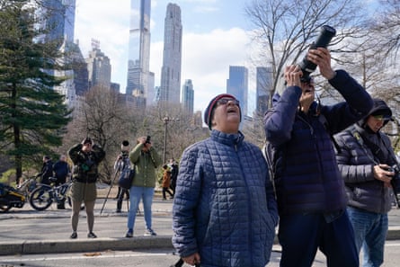A crowd of people gather to look at Flaco in Central Park in New York last year