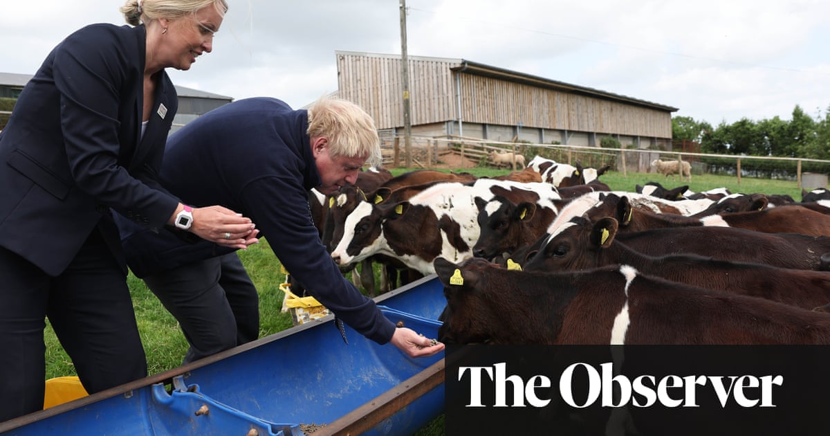 Boris Johnson은 Brexit 이후 식량 전략에 대한 시골의 분노에 직면해 있습니다.