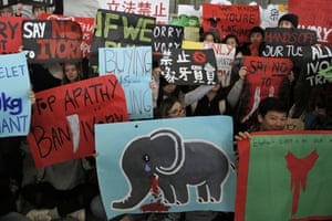 Animal conservation activists hold placards outside the Legislative Council ahead of a landmark vote that saw Hong Kong vote to ban ivory sales on 31 January