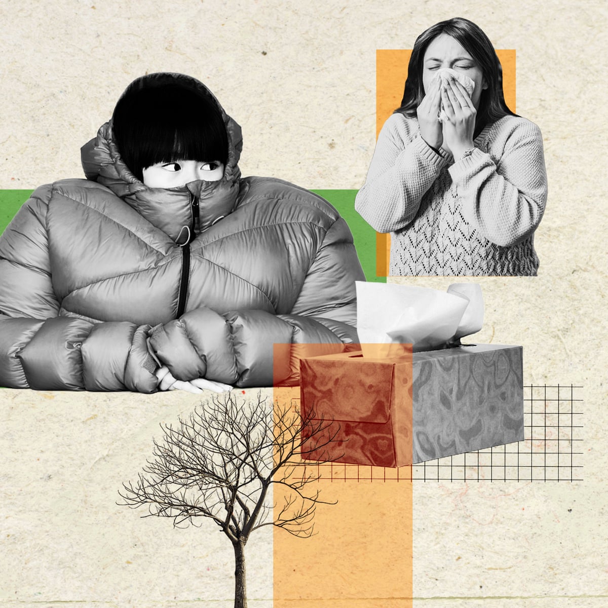 Does Covid Survive in Cold Weather? Shocking Facts Revealed