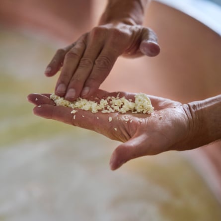 Gruyère cheese making
