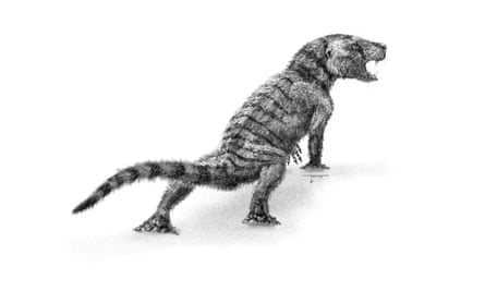 Thrinaxodon.