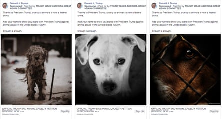 The Trump campaign ads about animal cruelty featured images of cute animals