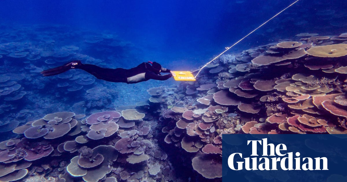 Recovery of Great Barrier Reef stalls as scientists point to bleaching, disease and starfish attacks