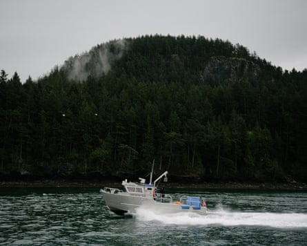 A Lummi Nation police boat used to transport elders and tribal leaders to and from a spiritual ceremony looking for guidance from ancestors followed by an offering of a symbolic, live Chinook salmon for the local orca population, heads back towards Bellingham, on the Puget Sound, Wednesday, April 10, 2019.