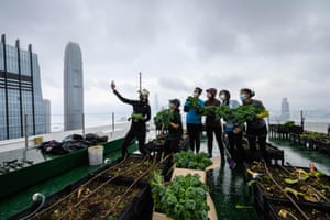 Rooftop Republic urban farmers pose with harvested vegetables at the top of the Bank of America tower