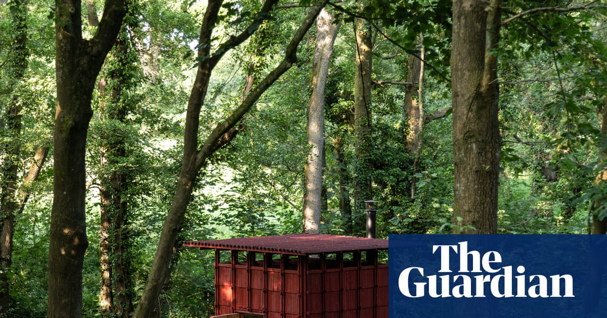 Winter warmer in the woods: a sizzling sauna and cool, cosy cabin deep in a Sussex forest