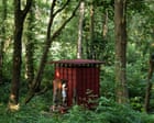 Winter warmer in the woods: a sizzling sauna and cool, cosy cabin deep in a Sussex forest
