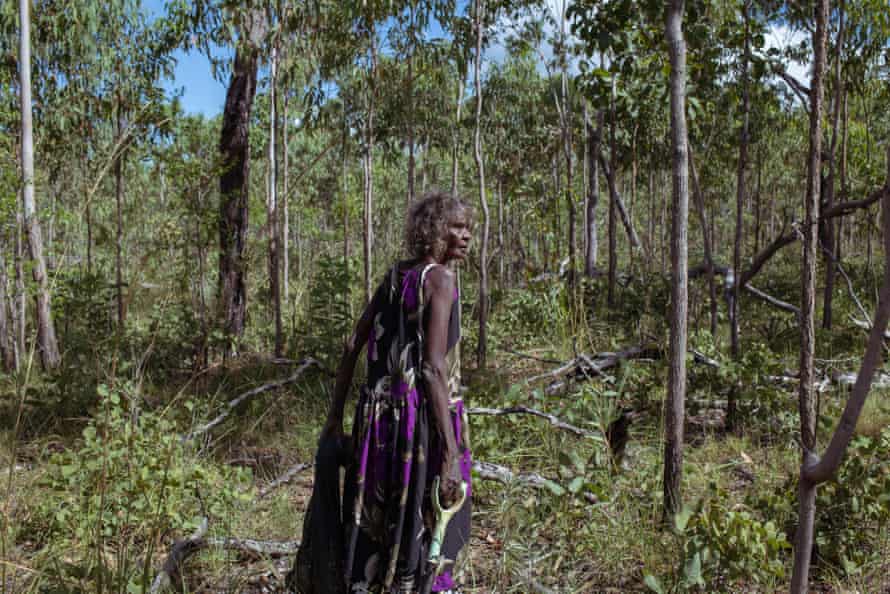 'Bringing the sun in': Bula'Bula's hardworking weavers dig color out of the red soil | native art Maria on the hunt for djundom