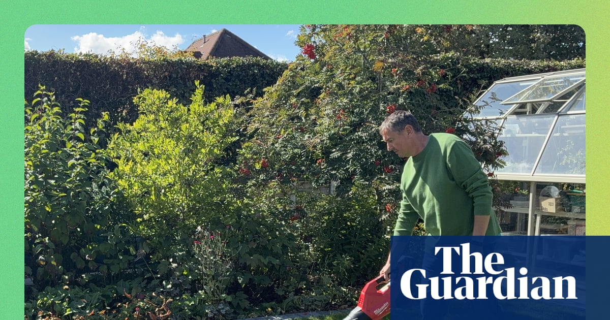 Confessions of a serial leaf stealer: the garden gadget that actually made tidying fun