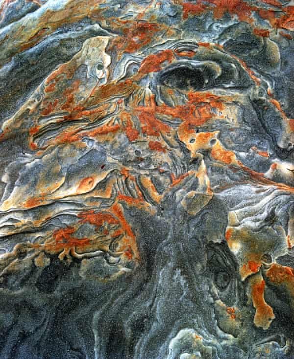 Dehisence – passing through the interstices of membrane, 2001.