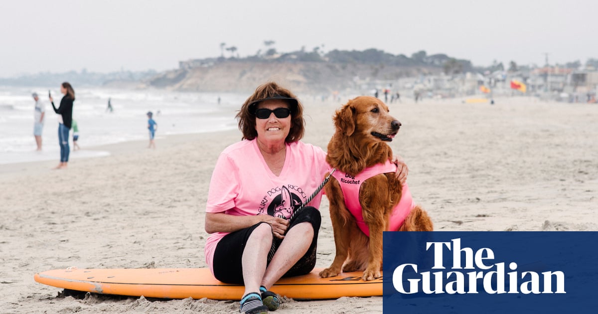 Experience: my dog is a champion surfer