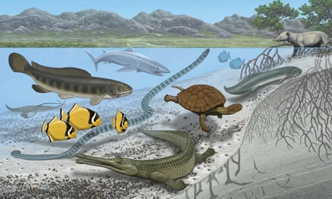 The Amazing Ancient Fishes of Africa - Cool Green Science