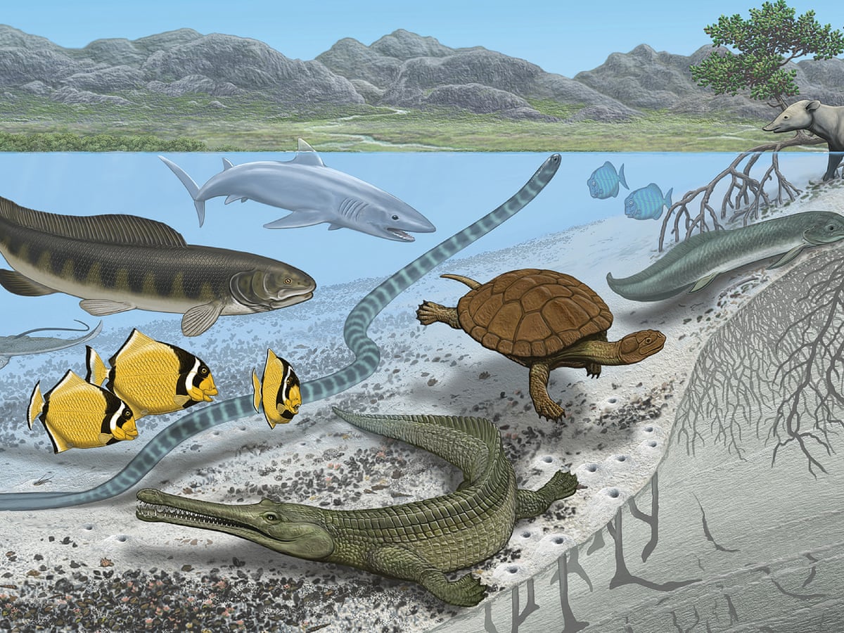Blogt Na Valentint Encyclopedia Largest Prehistoric Animals Vol 1 Vertebrates Part12 Fishes Pachycormidae