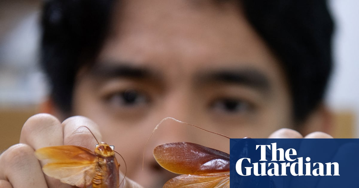 The ‘Cockroach Lord’ who names new species after Tolkien and Pokémon characters