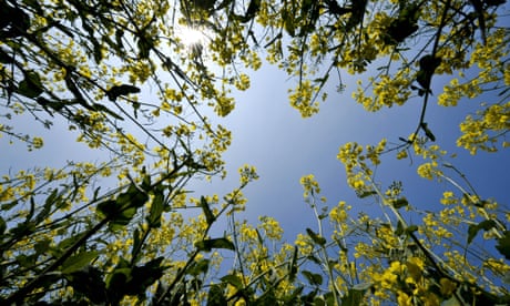 Farmers fear for their crops after the driest April on record