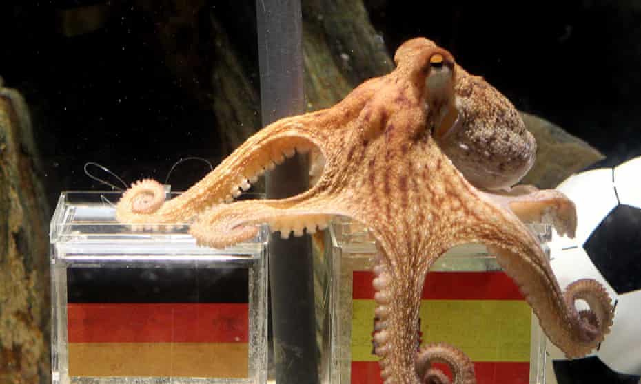 So Long Suckers Japan Mourns Killing Of World Cup Psychic Octopus Japan The Guardian