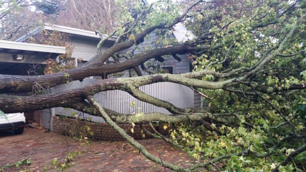 Rhonda and Mark Fergus say the sound of a huge branch smashing into their roof was ‘like an explosion’ during the recent floods and wild weather in Victoria.